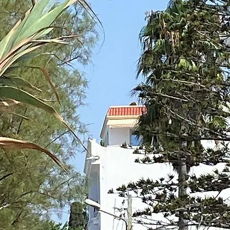 Roof Top Pied dans l'Eau Panoramic View, 80 meters from Seaside Hammamet Extérieur photo