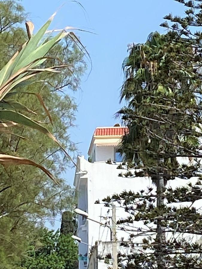Appartement Roof Pied Dans L'eau Panoramic View, 80 Meters From Seaside